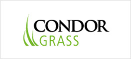 Condor Grass