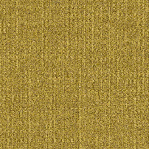 Dune 224