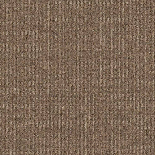 Dune 831