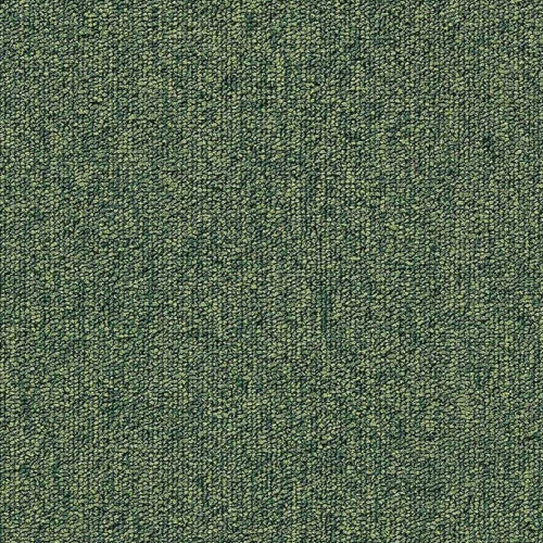First Forward 625