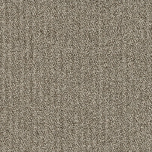Millennium Nxtgen 061