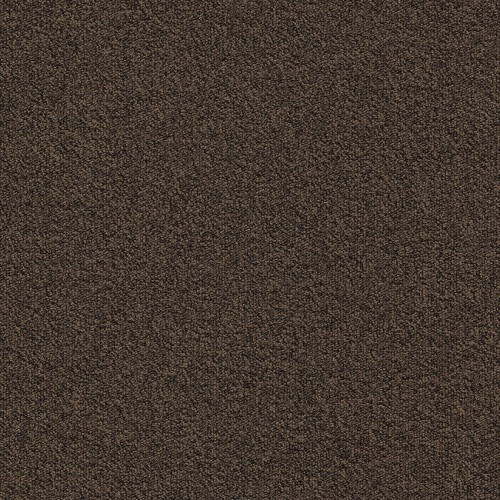 Millennium Nxtgen 883