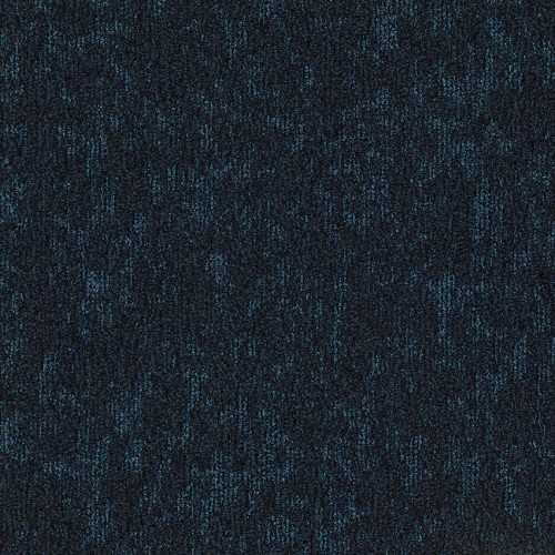 Moss 578