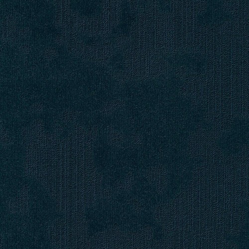 Velvet& 573