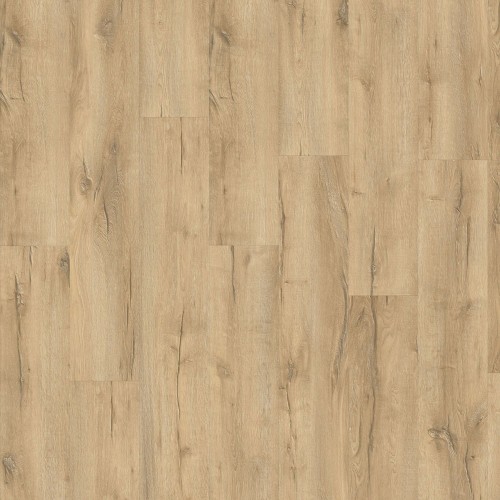 LayRed 55 EIR 56275 (Mountain Oak)