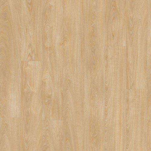 LayRed 55 EIR 51282 (Laurel Oak)