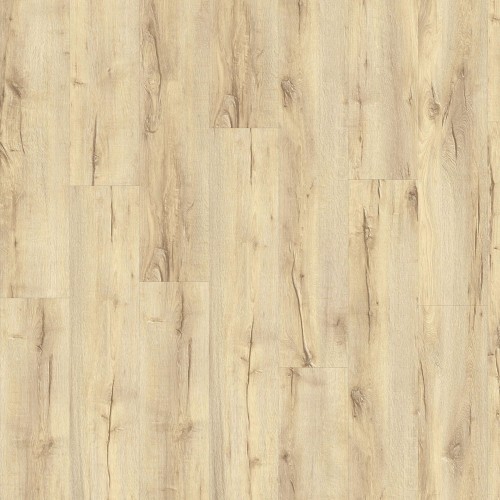 LayRed 55 EIR 56220 (Mountain Oak)