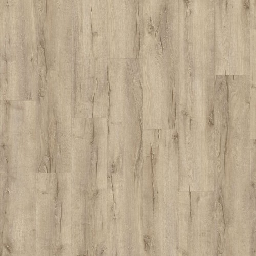 LayRed 55 EIR 56238 (Mountain Oak)