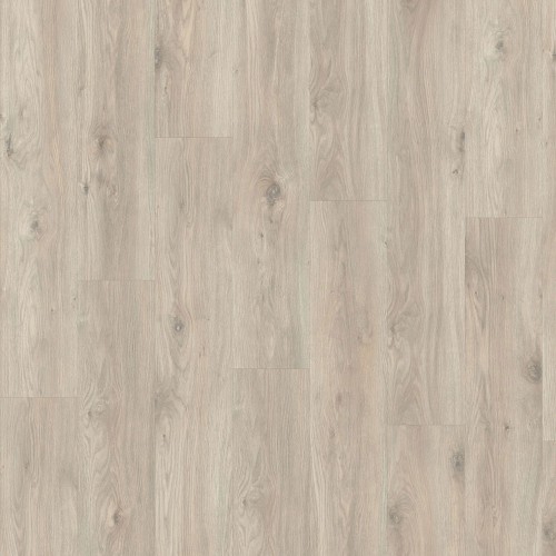 LayRed 55 EIR 58239 (Sierra Oak)