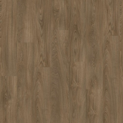 LayRed 55 EIR 51864 (Laurel Oak)