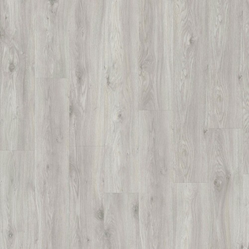 LayRed 55 EIR 58933 (Sierra Oak)