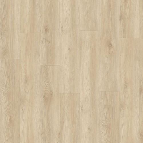 LayRed 55 EIR 58248 (Sierra Oak)