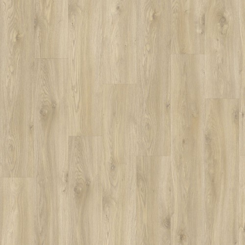 LayRed 55 EIR 58268 (Sierra Oak)