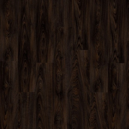 LayRed 55 EIR 51992 (Laurel Oak)