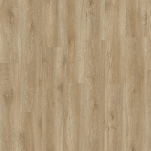 LayRed 55 EIR 58847 (Sierra Oak)