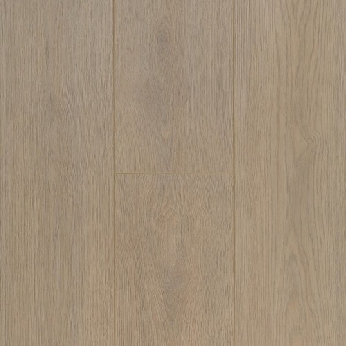 Connect 8 V4 62002316 (Select Light Brown)