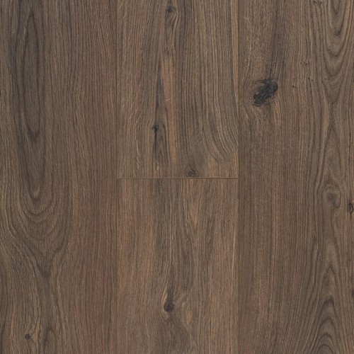 Connect 8 V4 62002328 (Gyant Dark Brown)