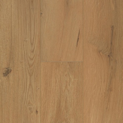 Connect 8 V4 62002318 (Gyant Warm Natural)