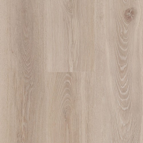 Connect 8 62002421 (Bloom Natural)
