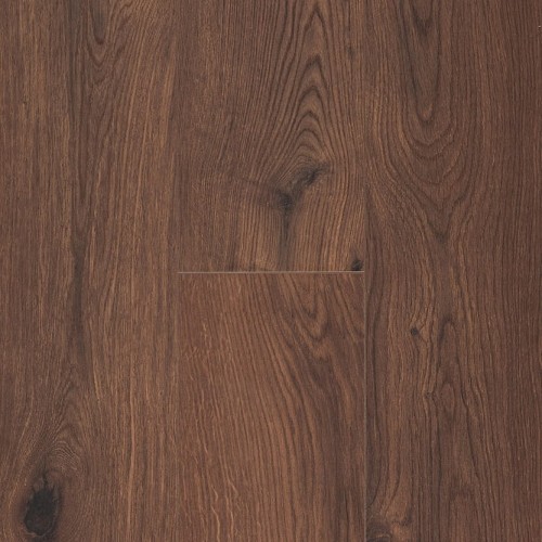 Ocean 12 4V 62002502 (Gyant XL Warm Brown)