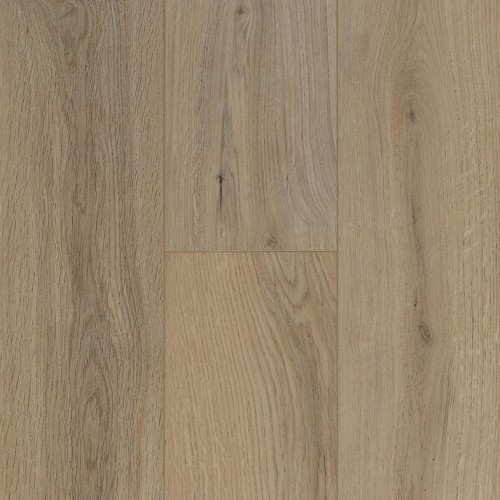 Ocean 8 4V 62002478 (Gyant Light Natural)