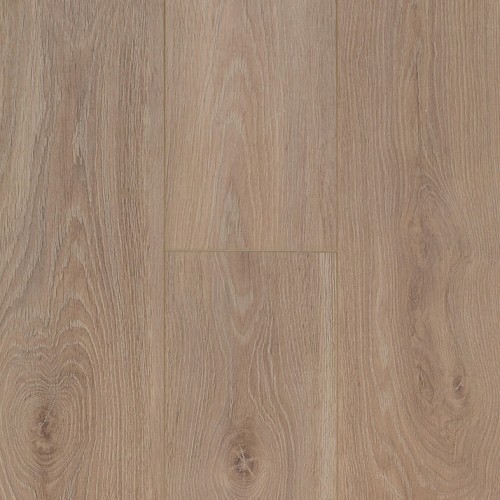 Ocean 8 4V 62002459 (Bloom Light Brown)