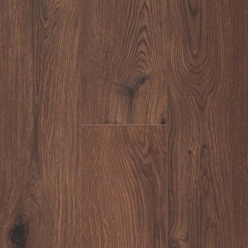 Ocean 8 4V 62002481 (Gyant XL Warm Brown)