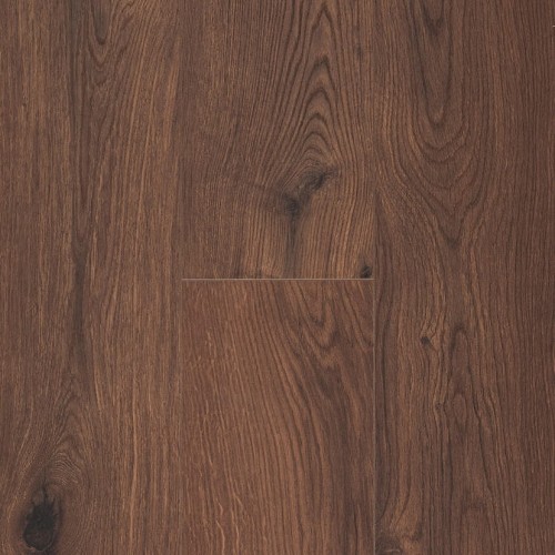 Ocean+ 8 4V 62003078 (Gyant XL Warm Brown)