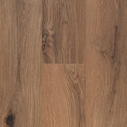 Ocean+ 8 4V 62003070 (Gyant XL Brown Natural)