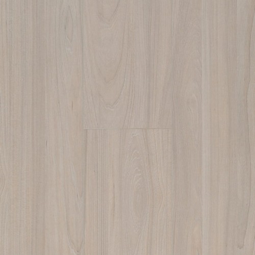 Ocean+ 8 4V 62003064 (Elm Light)