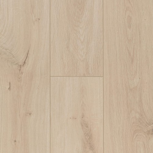 Ocean+ 8 4V 62003075 (Gyant XL Light Sand)