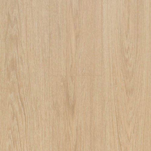 Ocean+ 8 4V 62003058 (Charme Light Natural)