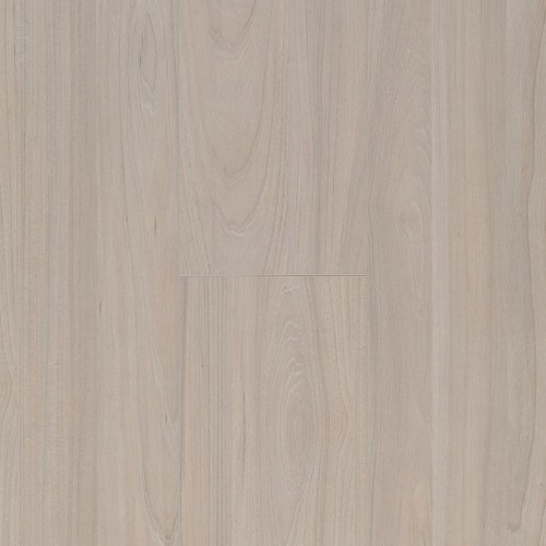 Ocean 8 4V 62002472 (Elm Light)