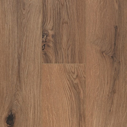 Ocean+ 8 XL 62002976 (Gyant XL Brown Natural)