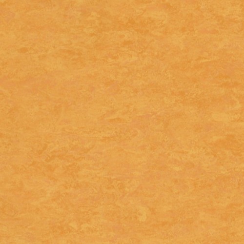 Veneto Xf² 2.5mm 14172628