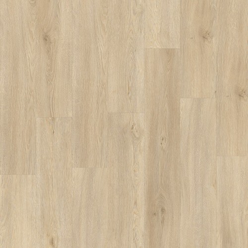 Intoo 55 86237 (Galtymore Oak)