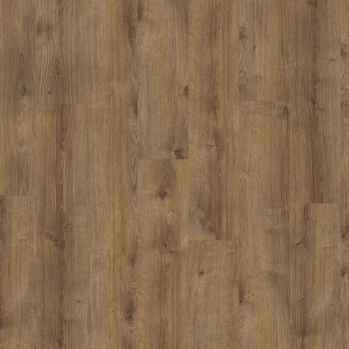 Intoo 55 87832 (Galway Oak)
