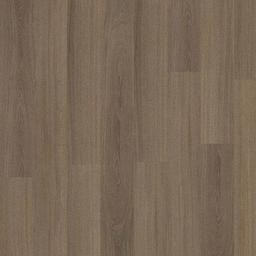 Roots 55 22877 (Glyde Oak)