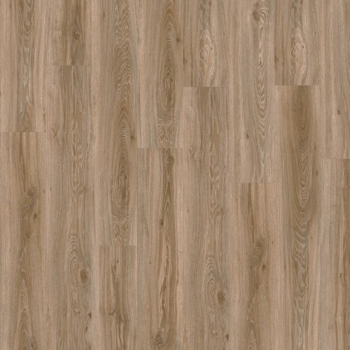 Roots 55 22229 (Blackjack Oak)