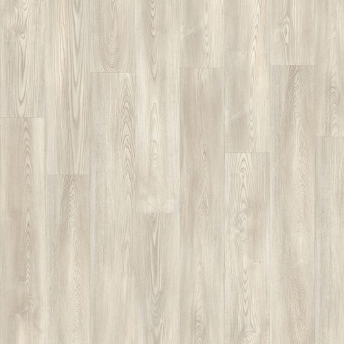 Roots 55 20216 (Mexican Ash)
