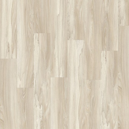 Roots 55 22248 (Marsh Wood)