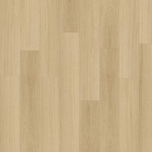 Roots 55 22219 (Glyde Oak)
