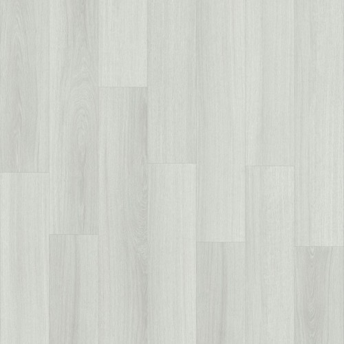 Roots 55 22721 (Glyde Oak)