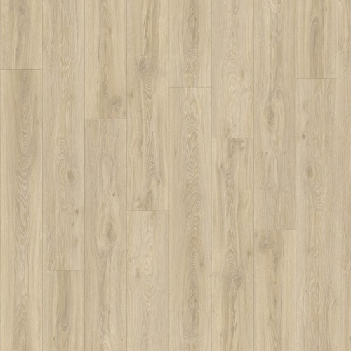 Roots 55 22215 (Blackjack Oak)