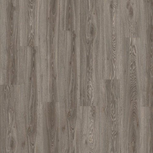 Roots 55 22937 (Blackjack Oak)
