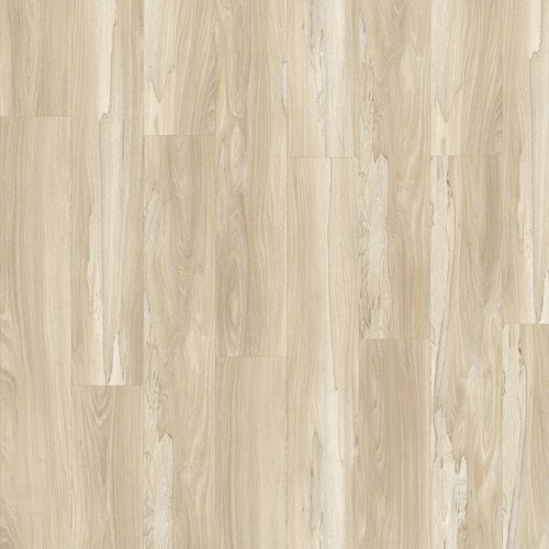 Roots 55 22326 (Marsh Wood)
