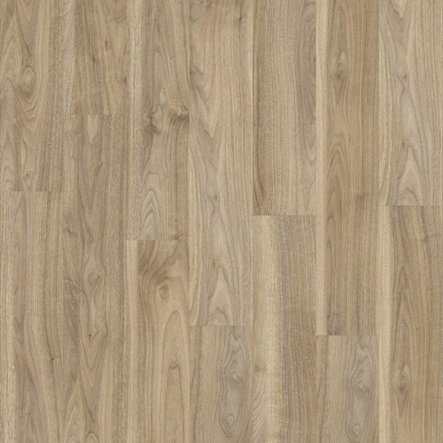 Roots 55 20226 (English Walnut)