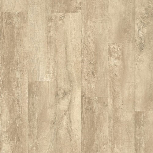 Roots 55 EIR 54225 (Country Oak)