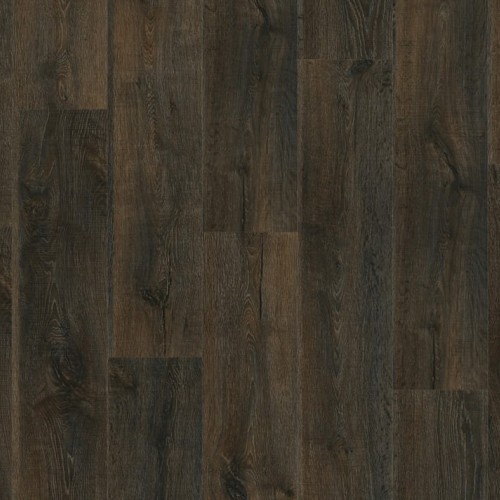 Roots 55 EIR 88889 (Nashville Oak)