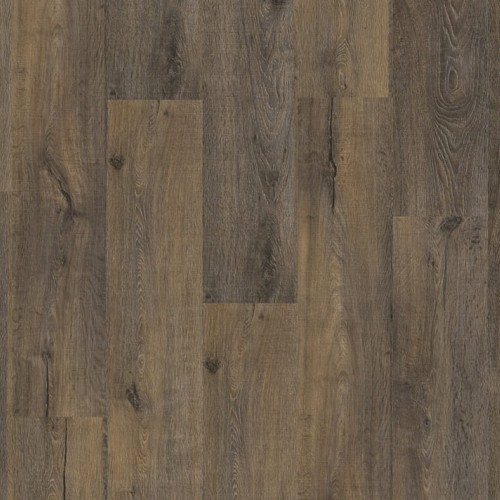 Roots 55 EIR 88861 (Nashville Oak)